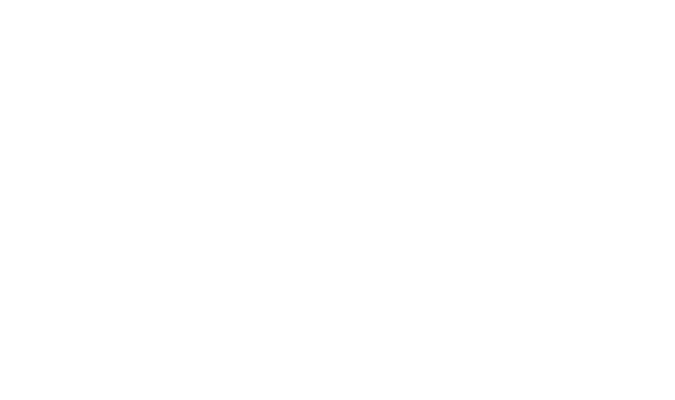 Bredent copaSKY